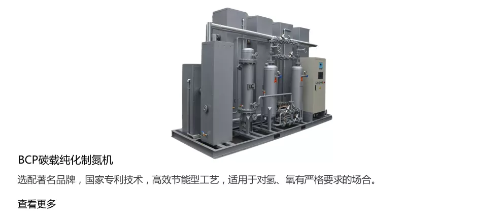 BCP碳载纯化制氮机